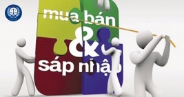 Quy Định Về Mua Bán Sáp Nhập Doanh Nghiệp Bình Dương  - Group