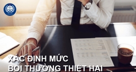 Tranh chấp bồi thường thiệt hại ngoài hợp đồng