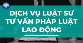 Dịch vụ Luật sư Lao động